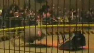 My Tribute to Kronic