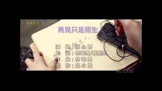 庄心妍-再见只是陌生人 MV