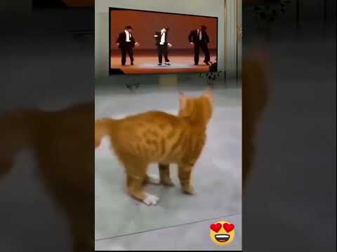 Michael Jackson 😂 ❤️ https://www.YouTube.com/@mcblack-u1p?sub_confirmation=1