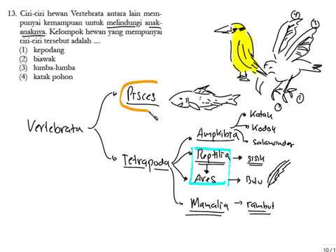 bélfergesseg tünetei felnottkorban)