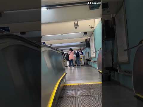 Minha Primeira Vez no Brás SP🚆De Campinas ao Brás Guia #shorts #bras #saopaulo #minivlog #campinas