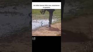 Deixe seu comentário do que você achou.  #deustemumapalavrapravoce