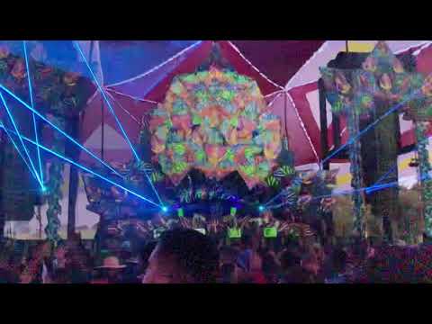 Árvore da Vida 2019 - Ajja