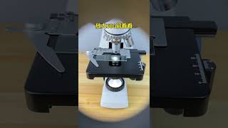 Download lagu Bacteria in the ingredients | (You will be surprised!) #microscope #magnification #Zoom100X mp3