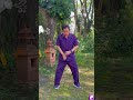 Reverse Breathing Technique By Taoist Master Mantak Chia ️