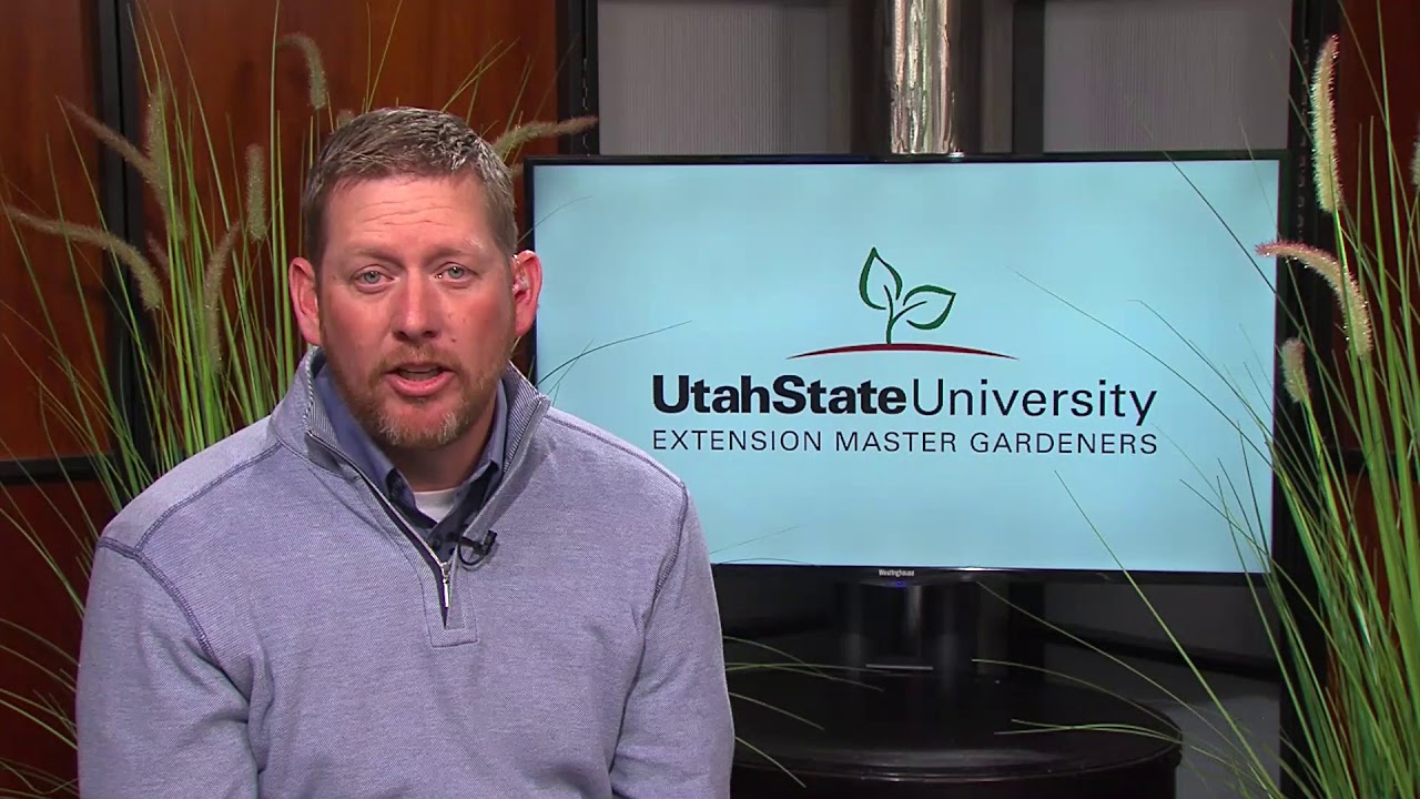 How to Become a Master Gardener