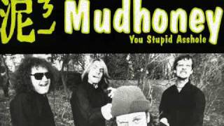 Mudhoney -- you stupid asshole --