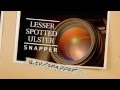 UTV Promo October 2011 Lesser Spotted Ulster Snapper