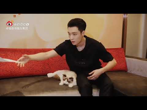 201030 Yixing Demos How to Apply for His Trainee Program with Lulu