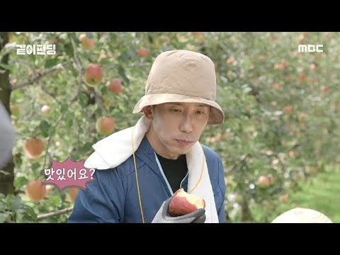 [HOT] The apple is so delicious. , 같이펀딩 20191013