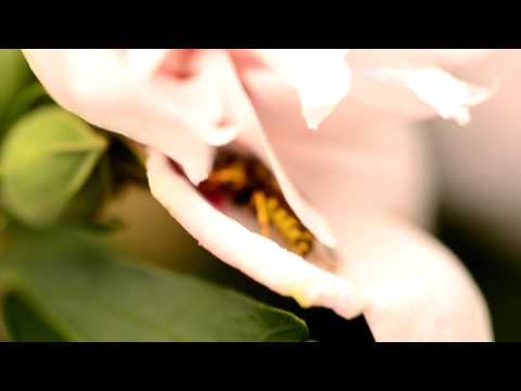 Not a Bad Day [Falling Star - Kid Cudi & Florence and the Machine (R3K remix)]