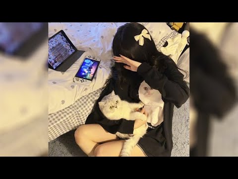 [FREE FOR PROFIT] Punk Rock x Hyperpop x Hyperpunk Type Beat - "dream"