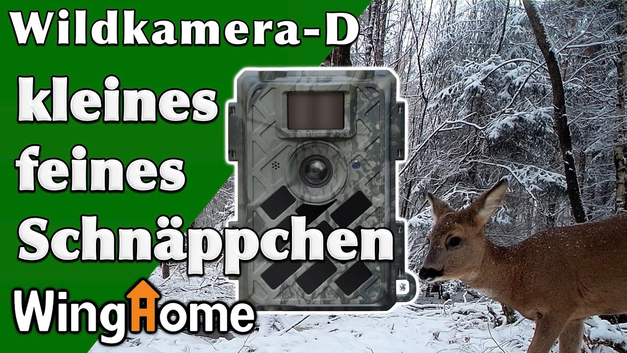 YouTube Video Vorschau