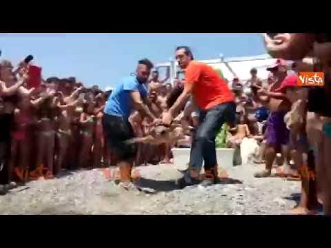 WWF libera una tartaruga marina