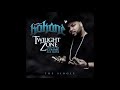 Kokane ,Straight Coat