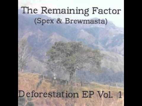 The Remaining Factor (Spex & Brewmasta) - Steady Flow
