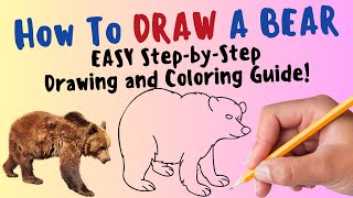 How To Draw A Bear - EASY Step By Step Drawing and Coloring Guide