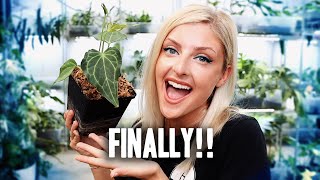 It's finally Ready!! | Planty Updates