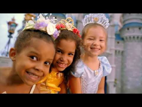 2014 Walt Disney World Vacation Planning DVD