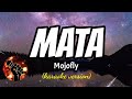 MATA - MOJOFLY (karaoke version)