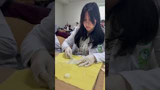 Video 15