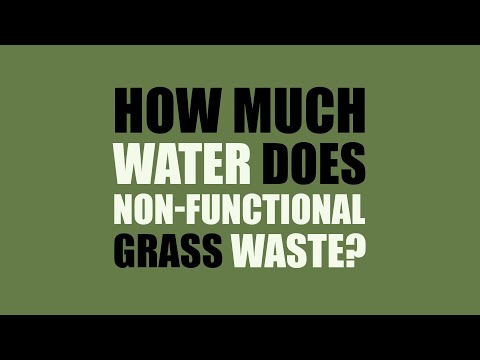 芝生の上でどのくらいの水が無駄にされているのでしょうか？