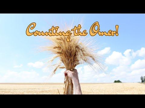 Counting the Omer - Day 29