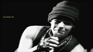 SERÁ QUE É ISSO QUE EU NECESSITO?- TITÃS-CLIPE-ANO 1993 [HQ]