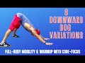 🧘‍♂️ 8 DOWNWARD DOG VARIATIONS | Yoga Stretching Mobility Flexibility Plank Pushup Core BJ Gaddour