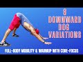 🧘♂️ 8 DOWNWARD DOG VARIATIONS | Yoga Stretching Mobility Flexibility Plank Pushup Core BJ Gaddour