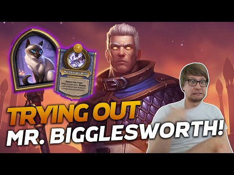NEW Patch, NEW Hero! Trying Out Mr. Bigglesworth! | Hearthstone Battlegrounds | Savjz