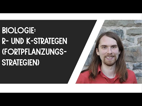 r- und k-Strategen (Fortpflanzungsstrategien-Sukzession-Biologie)