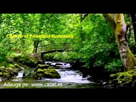 Cazare Bazias, Caras Severin - Cazat.ro