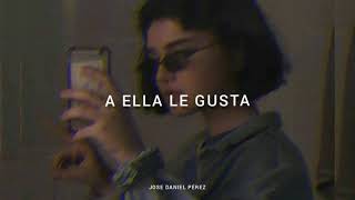 J Balvin - Safari (Letra / Lyrics) Olvidar está rola ¡Jamás!