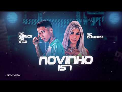 NOVINHO 157 - MC HERICK, MC THAMMY. REMIX BREGA FUNK 2021 #thammy #hericknavoz #djbakadapna