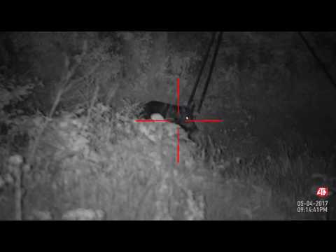 ATN X Sight II Wifi Setup