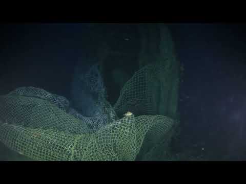 SS Ventnor - 150m deep wreck dive