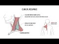 Posterior Triangle of the neck—Boundaries, Contents, Nerve Blocks & Surgical Landmarks