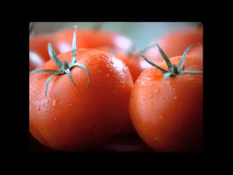 Sadafco Tomato Paste