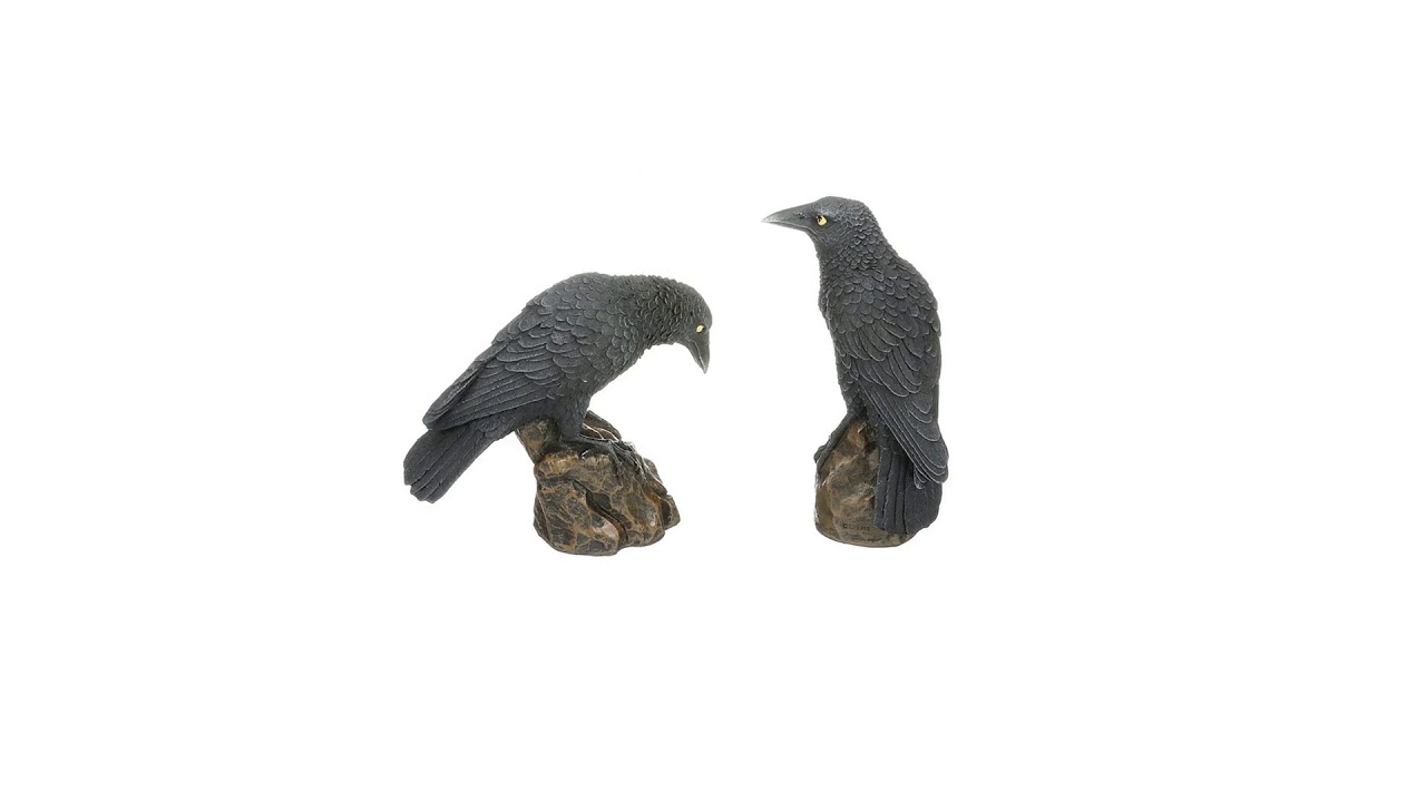 Mystic Night Raven Statue Set Video