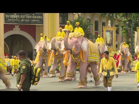 Elephants pay homage to Thailand's new king