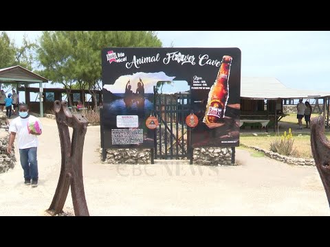 Businessman reflects one year after La Soufrière eruption