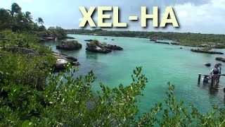 preview picture of video 'Xel-ha - Mexico HD'