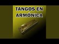 Cuentamusa