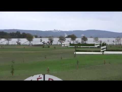 BR, 27. 9. 2015, 6. dostih - Podzimní moravská míle - CENA STÁJE QUARTIS a ZÁMECKÝ VRCH