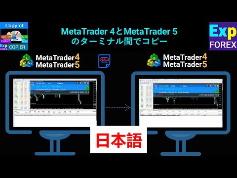 Video Exp COPYLOT CLIENT for MT5