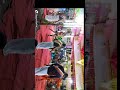 Karakattam Fans 1