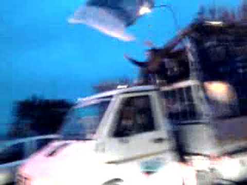 Pescara Calcio in serie A 2011 - 2012