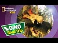 Spinosaurus Dino Road Trip