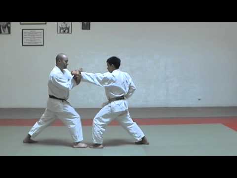 Jitte Bunkai | Karate for the elite athlete | JKA Karate | Shotokan | WKF | Learn Karate